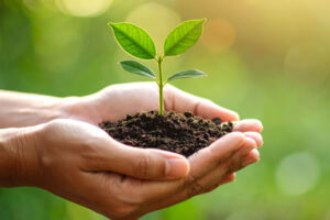 Treinamento de Auditor Interno da Norma ISO 14001:2015 – Sistema de Gestão Ambiental