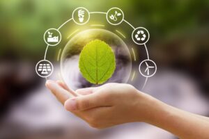 Treinamento de Gestão e Avaliação de Fornecedores Sustentáveis