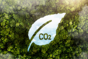Treinamento de Inventário de Emissões de GEE e Pegada de Carbono – GHG Protocol